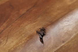 56356c35710592-40651-4.jpg