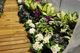 95c8884ebce12a-gh8019-9.jpg