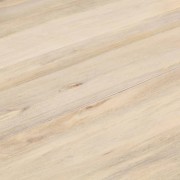 a612835e741aa0.jpg