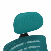 g5efdd327a8150.png