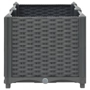 m6118622e0fd8c.jpg
