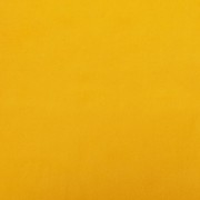 m61f0a77d7a9a6.jpg