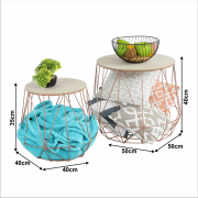 r5efdc6537d84a.png