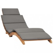 Zahradní lehátko 2 ks s poduškami teak