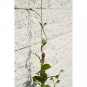 Nature Sady drátěné treláže pro popínavé rostliny 2 ks