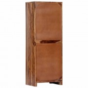 vidaXL Odkládací skříňka 40 x 30 x 110 cm masivní sheesham