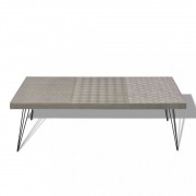vidaXL Konferenční stolek 120x60x38 cm šedý