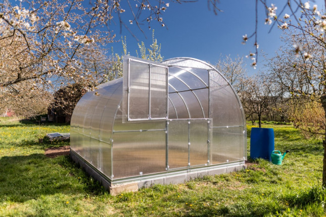 Gardentec Classic T 8 x 3 m